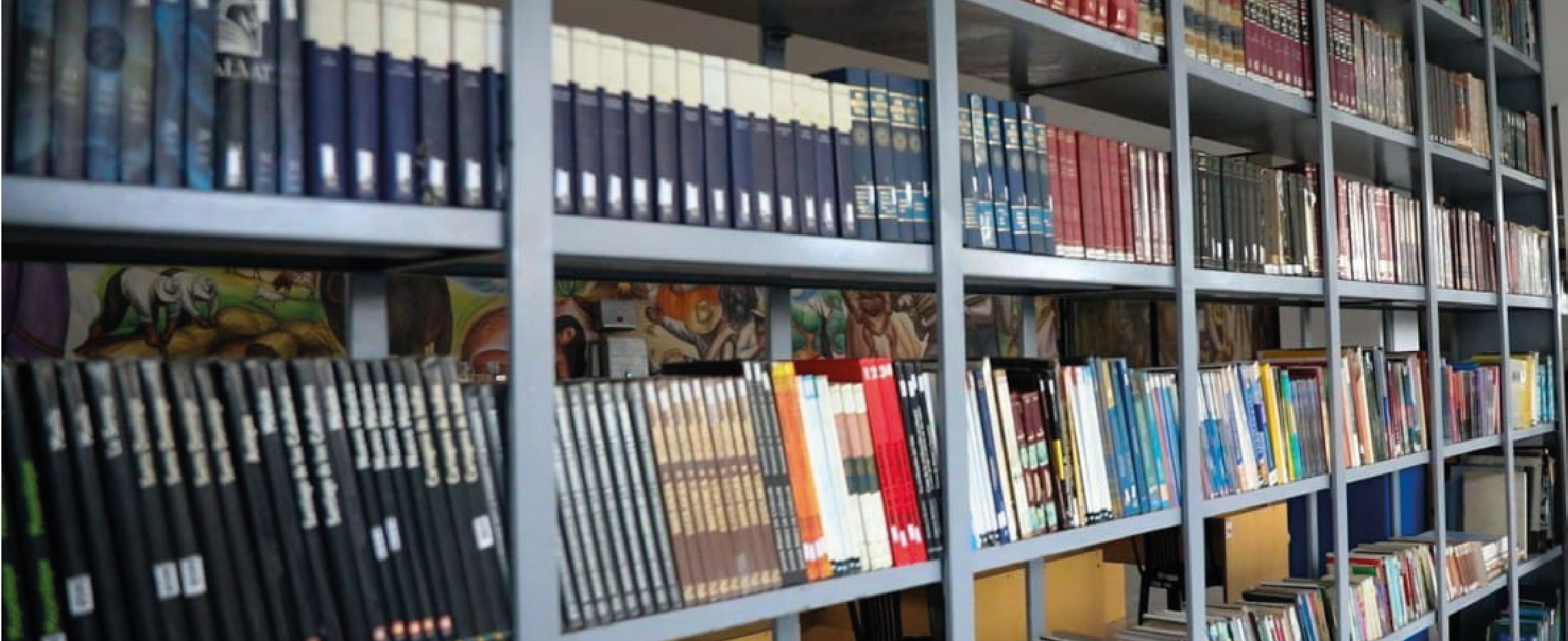 BIBLIOTECA MUNICIPAL DE MOYOBAMBA "JENARO ERNESTO HERRERA TORRES"