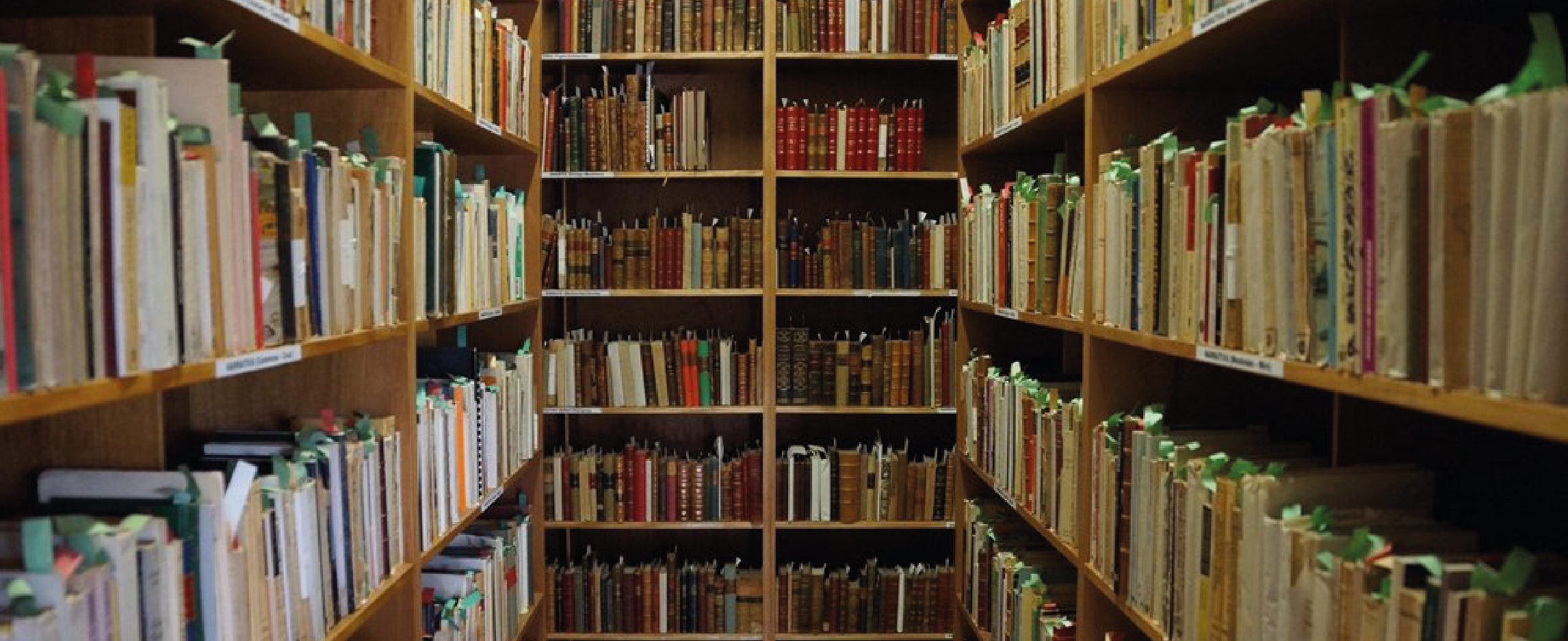 BIBLIOTECA MUNICIPAL PROVINCIAL CESAR VALLEJO